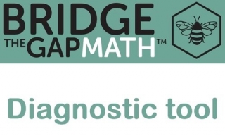 Bridge the Gap Math Diagnostic Tool