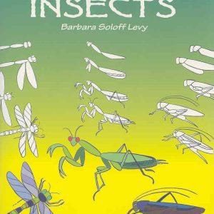 How to Draw Insects