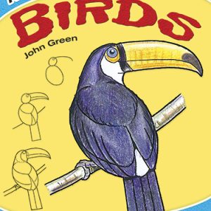 How to Draw Birds