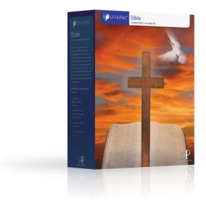 Grade 11 - Bible Lifepac Set - Bible Doctrine