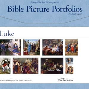Luke - Bible Picture Portfolio