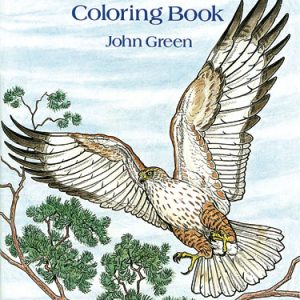 Birds of Prey - Colouring Book