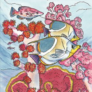 Coral Reef Colouring Book