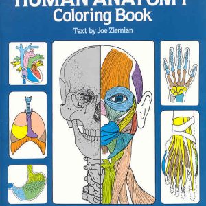 Human Anatomy - Colouring Book