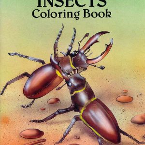 Insects - Colouring Book