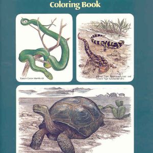 Reptiles and Amphibians - Colouring Book