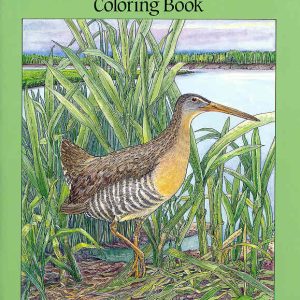 Wetland Plants and Animals Colouring Book
