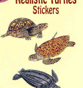 Realistic Turtles Stickers