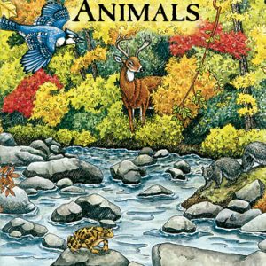 Forest Animals Colouring Book