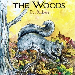 Walk in the Woods, A - Colouring Book