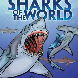 Sharks of the World - Colouring Book