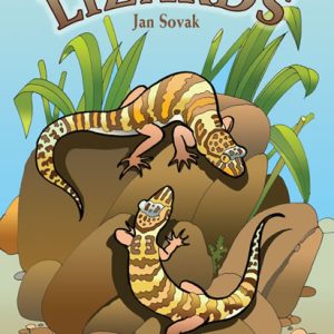 Lizards Colouring Book