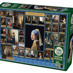 Vermeer Puzzle