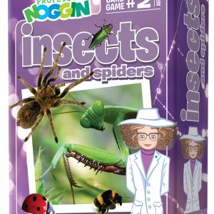 Insects and Spiders - Professor Noggin