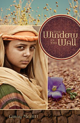 Window In The Wall, The