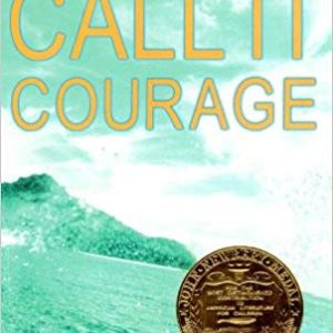 Call It Courage