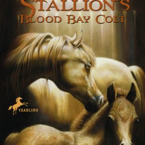 #6 - The Black Stallion's Blood Bay Colt