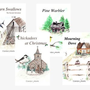 Railfence Books Set of 4