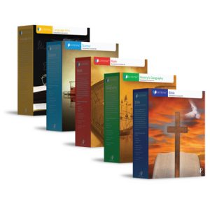 Grade 11 5-Subject Lifepac Set