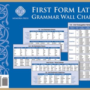 First Form Latin Grammar Wall Charts