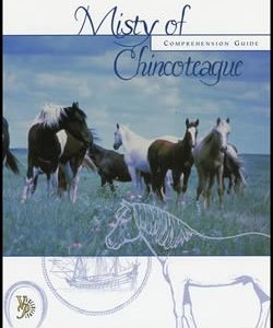 Misty of Chincoteague - Comprehension Guide