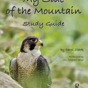 My Side of the Mountain - Study Guide
