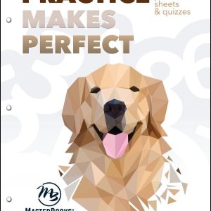 Practice Makes Perfect Level 2