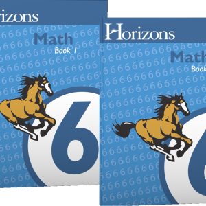 Horizons Math Grade 6 Workbooks Only