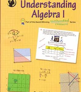 Understanding Algebra 1
