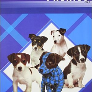 Phonics B Plaid