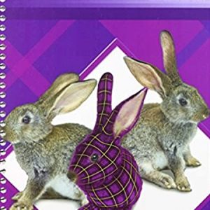 Phonics K Plaid - Teacher Resource Guide