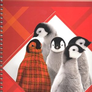 Phonics A Plaid - Teacher Resource Guide