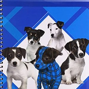 Phonics B Plaid - Teacher Resource Guide