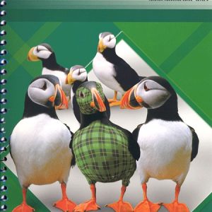 Phonics C Plaid - Teacher Resource Guide
