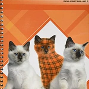 Phonics D Plaid - Teacher Resource Guide