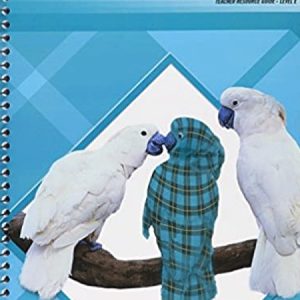 Phonics E Plaid - Teacher Resource Guide