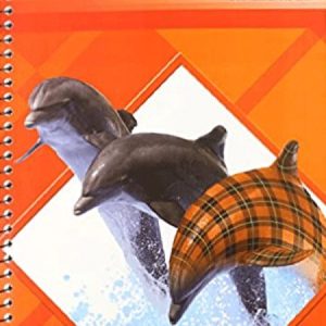 Phonics F Plaid - Teacher Resource Guide