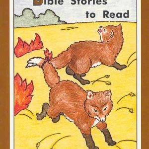 Bible Stories to Read - Scratch & Dent