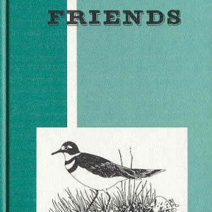 Gr. 3 Book 1 - New Friends Reader