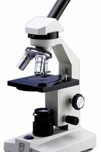 Microscope