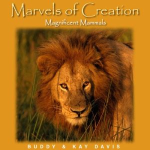Magnificent Mammals