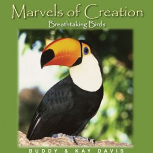 Breathtaking Birds