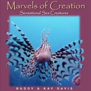 Sensational Sea Creatures