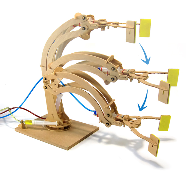 Mega Cyborg Hand – The Learning House