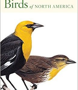 Birds of North America - Peterson First Guide