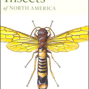 Insects of North America - Peterson First Guide