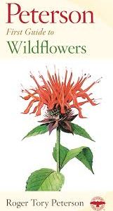 Wildflowers - Peterson First Guide