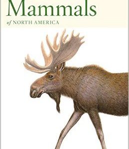 Mammals of North America - Peterson First Guide