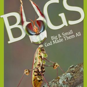 BUGS: Big and Small God Made Them All