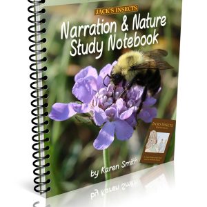 Jack's Insects Narration and Nature Study Notebook